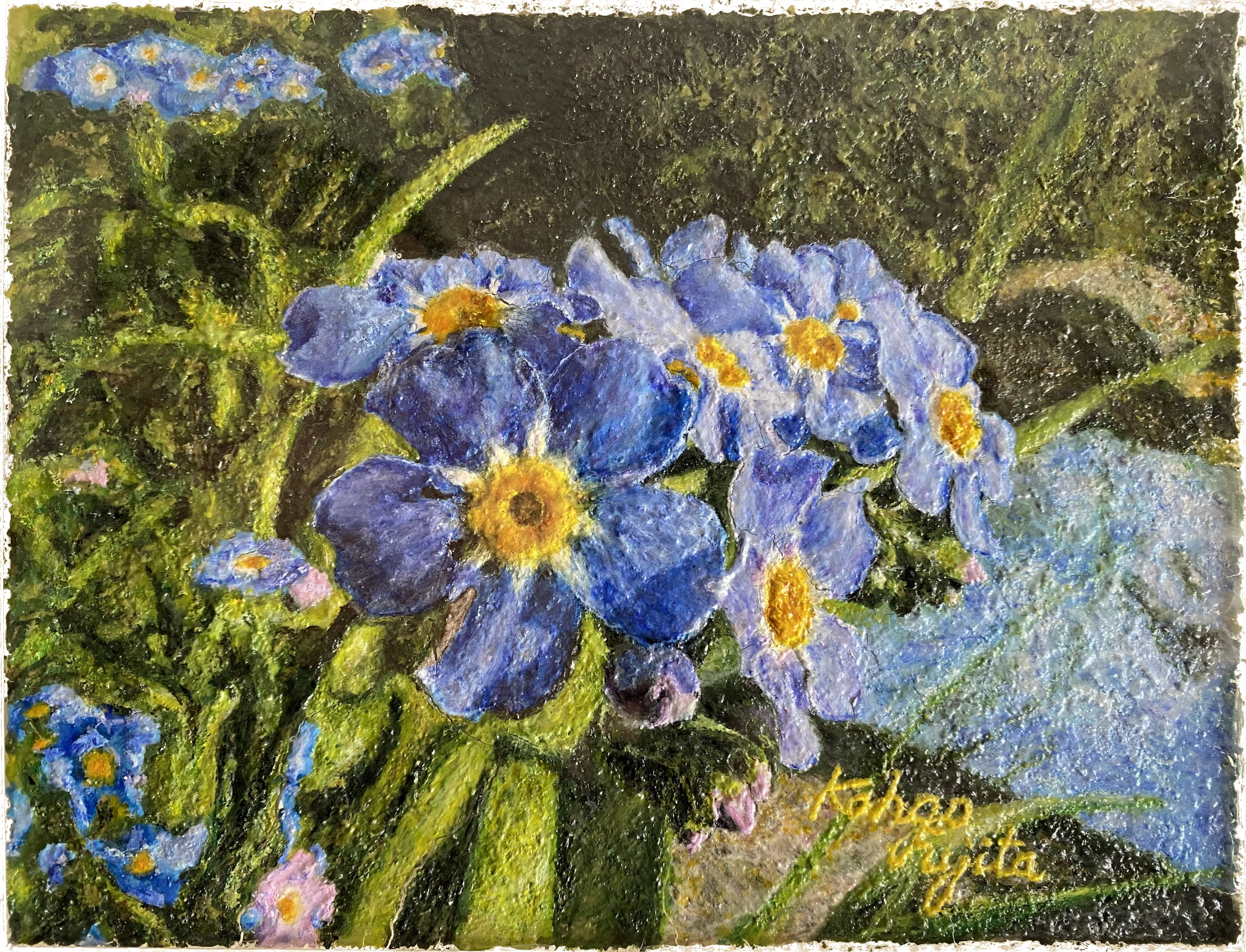 勿忘草 forget-me-not